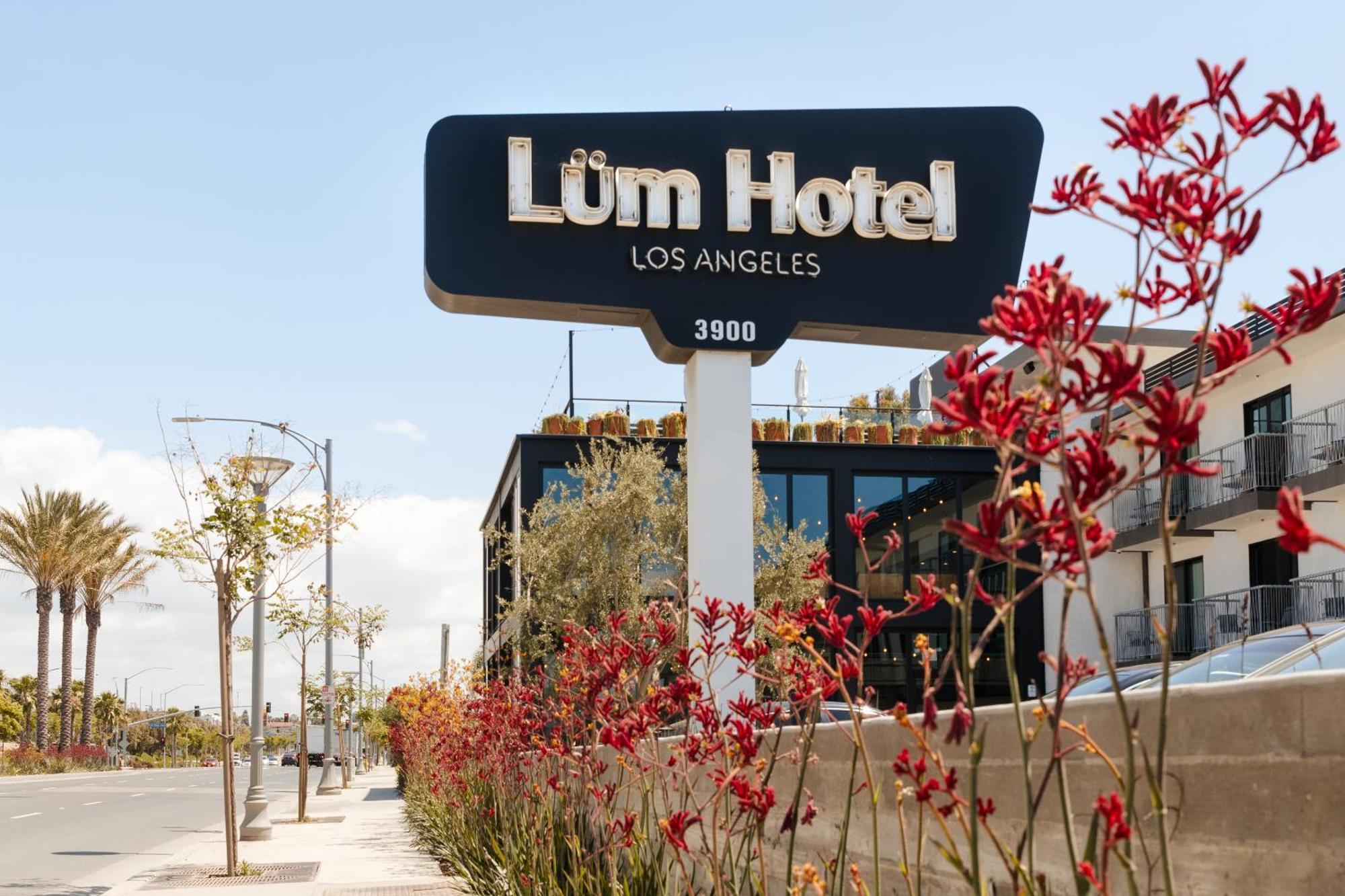 The Lum Hotel Los Angeles Stadium District 잉글우드 외부 사진